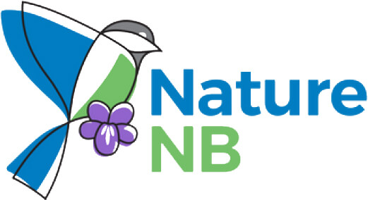 Nature NB
